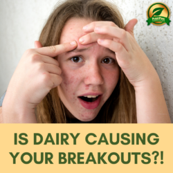 IG Ditch Dairy breakouts