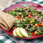 Mediterranean Barley